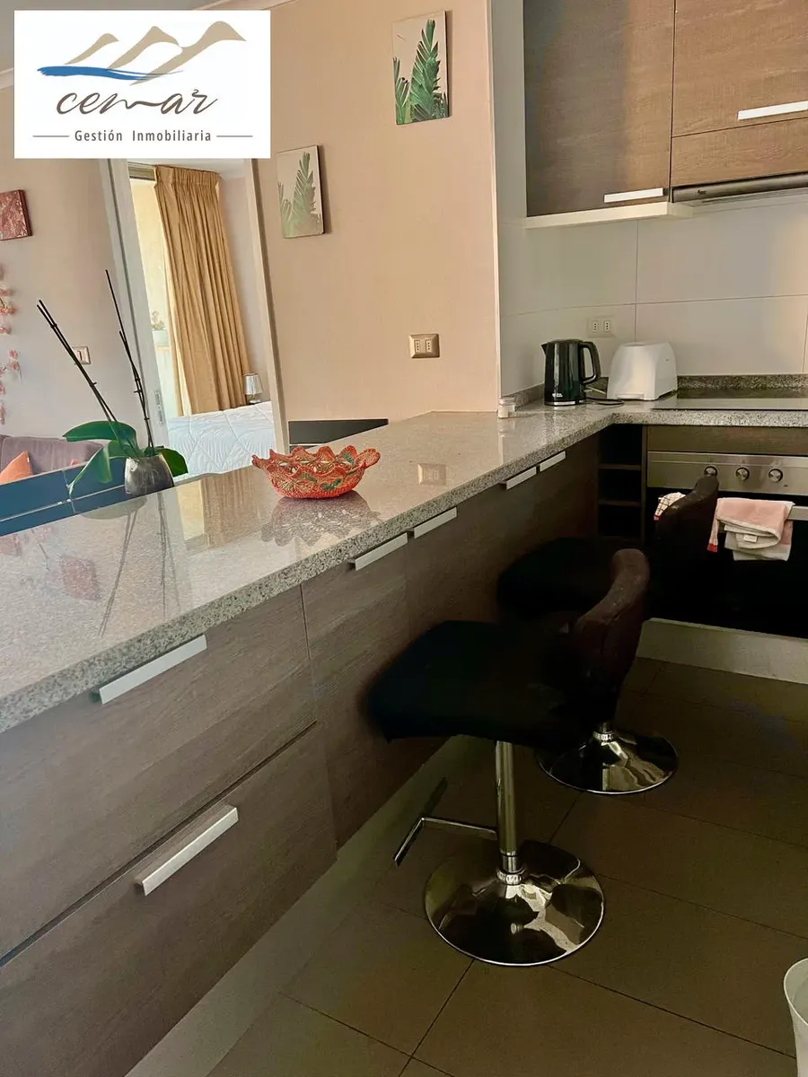 Imagen 5 de 24 de Excelente Oportunidad De Inversión Venta Depto Viña Del Mar