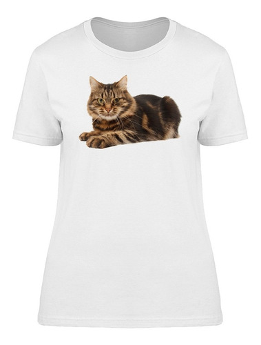 Gato Acostado En El Suelo Camiseta De Mujer