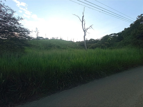 Venta Lote N° 3 En Parcelación Campestre Dapa