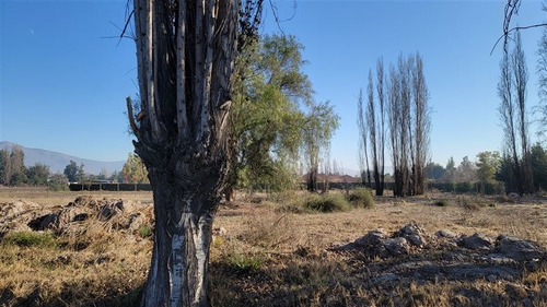 Imagen 6 de 23 de Sitio En Arriendo Camino A Batuco Orilla De Calle 5000 Mts2