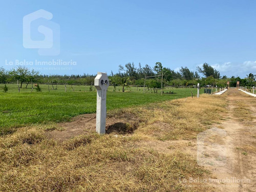 Terreno En Venta En Finca Real En Costa Esmeralda Veracruz