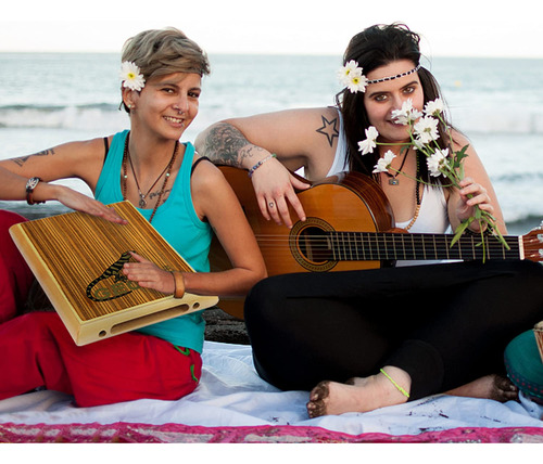 Cajon Gecko Travel Zebra Wood Com Cordas Internas De Guitarr