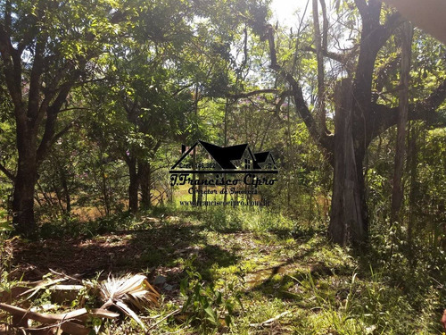 Sitio-para-venda-em-areao-guaratingueta-sp - St123