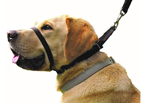 Collar Canny: El Collar Para Adiestramiento De Perros Y Cami