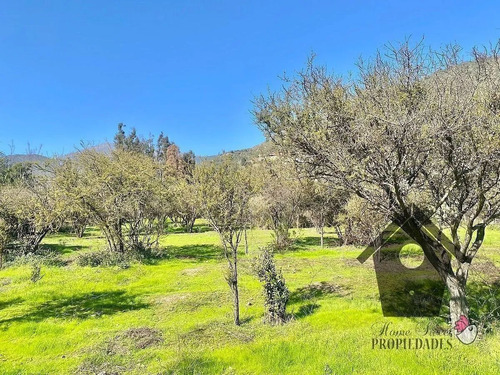 Lo Castro, Quebrada De Alvarado, Olmue. 5.000m2