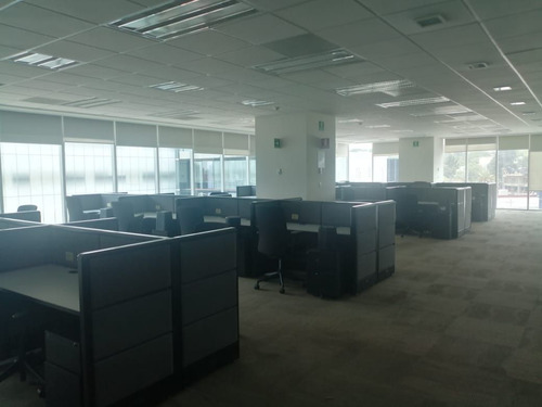 Renta Oficina En Colonia Los Alpes