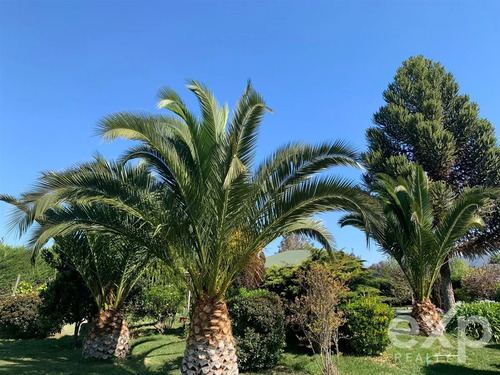 Parcela En Venta 7 Dormitorios En Isla De Maipo
