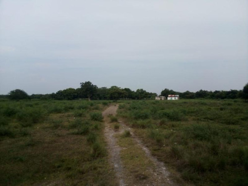 Venta Rancho Ganadero 100 Hectáreas Tamiahua Veracruz
