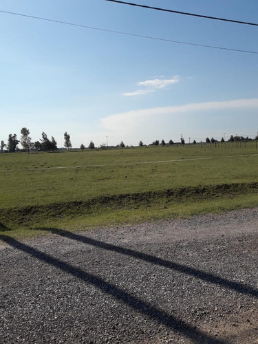 Terreno En Venta - 12000mts2 - Chacras De Abbott, San Miguel Del Monte