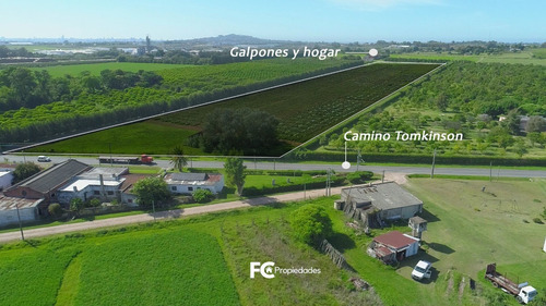 Imagen 3 de 21 de Venta Campo 11 Has Rincon Del Cerro Montevideo