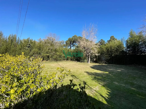 Casa De 4 Dormitorios Y 3 Baños Con Piscina En La Floresta