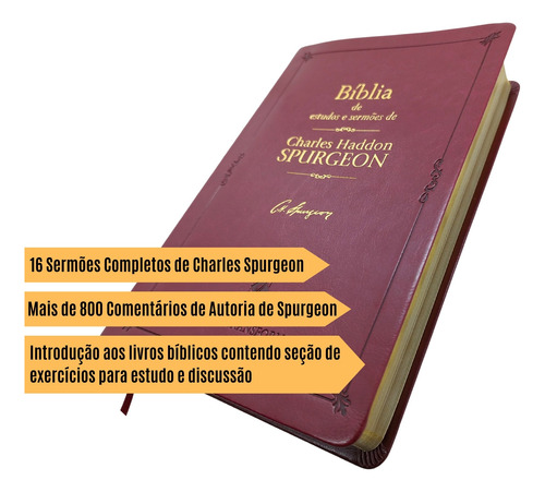 Biblia De Estudos Versão Nvt Bordô Capa Flexível Spurgeon