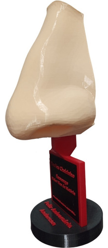 Troféu Flamengo Cheirinho Vice