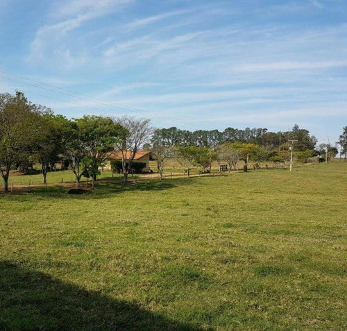 Imagem 16 de 22 de Fazenda 80 Alqueires, Rica Em Água Com Riacho, Aproveitamento De 85% Para Plantio, Estruturada Para Pecuária, Casa Sede E Funcionarios, Curral, Galpão - Fa00248 - 70737151