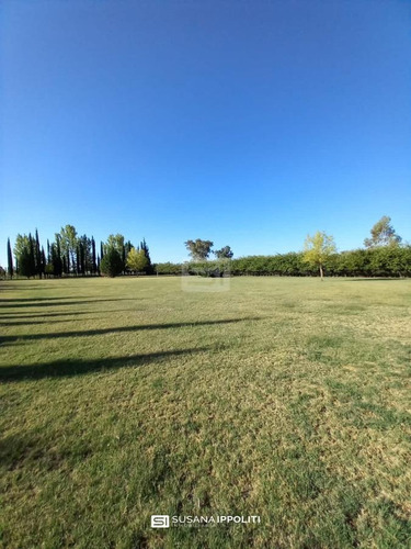 Imagen 12 de 23 de Finca Productiva De 17ha En General Alvear - Mendoza