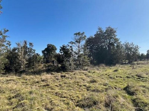 Colonia La Poza - Llanquihue