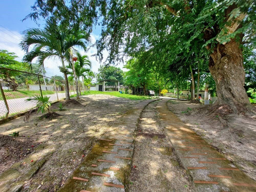 Imagen 6 de 12 de Se Vende Casas De Campo 2806m² 5h4b6p En Barlovento
