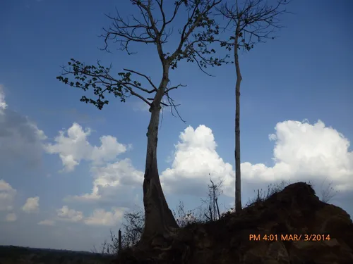Terreno