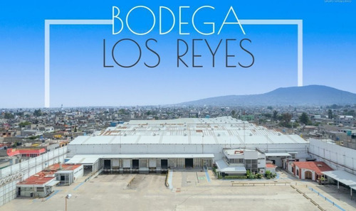 Bodega En Renta En Los Reyes Acaquilpan