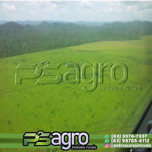 Imagem 9 de 16 de Fazenda À Venda, 65000 Hectares Por R$ 190.000.000 - Zona Rural - São Félix Do Xingu/pa - Fa0156