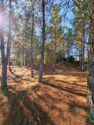 Imagen 4 de 11 de Lindo Terreno En Venta - Barrio Ecuestre De Costa Esmeralda