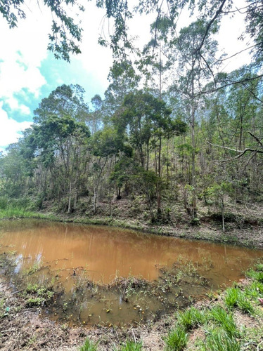 Imagem 26 de 27 de 01- Terrenos A 4 Km Da Rodovia Fernão Dias Em Mairiporã !