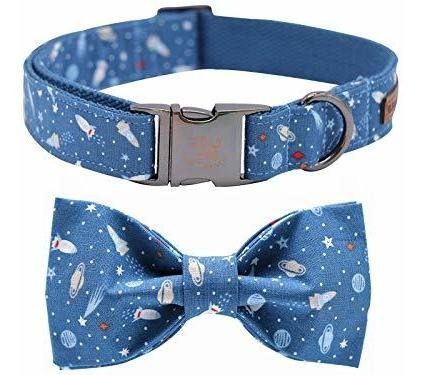 Elegante Collar De Perros Con Tazón, Collar De Perros 8b8yk