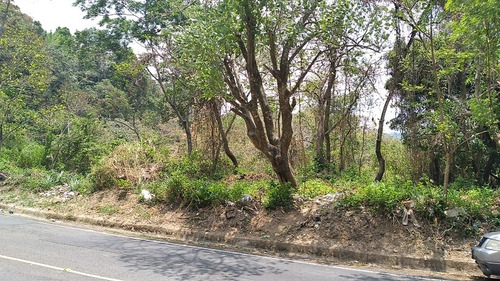 Imagen 4 de 8 de Vendo O Alquilo Bonito Terreno Para Proyecto Comercial