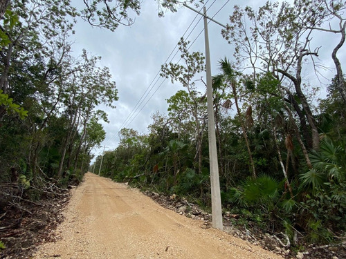 Imagen 9 de 13 de Venta Terreno En Tulum Cerca Del Centro