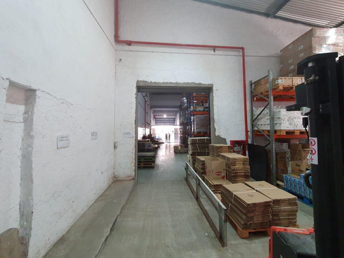 Imagen 14 de 17 de Excelente Inmueble Industrial / Deposito Con Oficinas - Chacarita - E2