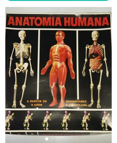 Armable Cuerpo Humano Serima