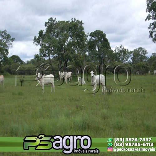 Imagem 2 de 10 de Fazenda À Venda, 83.848 Hectares Por R$ 280.000.000 - Zona Rural - São Felix Do Araguaia/mt - Fa0181