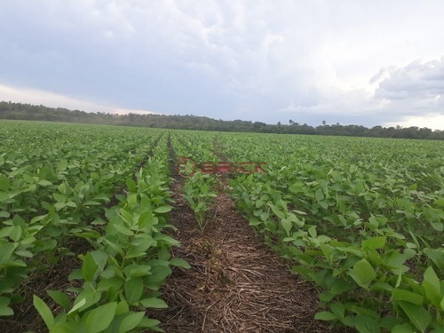 Imagem 7 de 9 de Fazenda A Venda Em Santa Maria Do Tocantins, Com Dupla Aptidão, Por R$ 60 Milhões Com 3.789 Hectares. - Fa00068 - 70732060