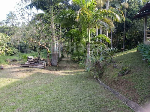 Imagem 3 de 17 de Sítio A Venda Em Massaranduba/sc - 1764c