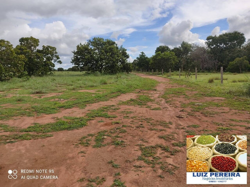 Fazenda À Venda Em Formoso Do Araguaia-to-de 400 Alqueirões (dupla Aptidão) - 1604