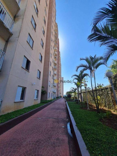 Imagem 3 de 10 de Apartamento Com 2 Dormitórios À Venda, 60 M² Por R$ 255.000,00 - Jardim Palermo - São Bernardo Do Campo/sp - Ap3488