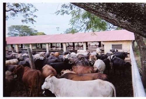 Imagen 2 de 9 de Venta De Finca En Los Cardones Ve02-021lc-mt