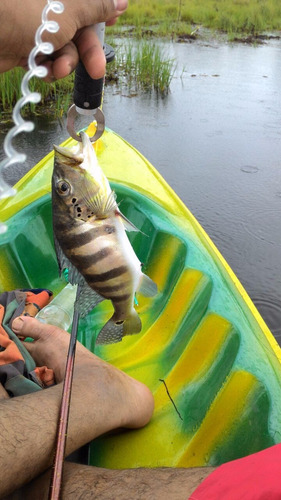 Caiaque P1 Lugar Pesca E Lazer - Cores Diversas - Camuflado