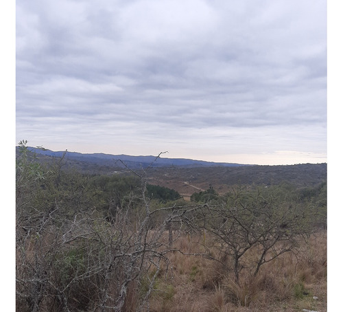 Campo De 3 Y 4 Hectáreas Con La Posibilidad De Construir Para Proyecto Turístico, Y Holístico, Hermosa Arboleda De Pinos Y Paisaje Extraordinario, Tranquilidad Y Naturaleza, Estanques Naturales