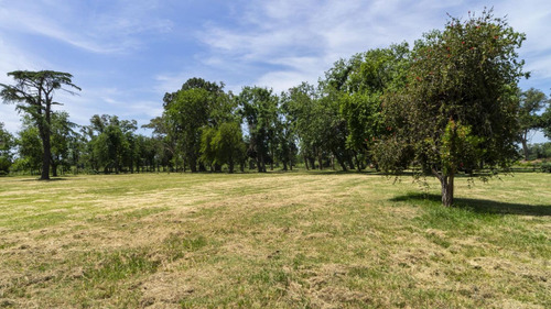 Campo 16ha, 2 Cascos, 1 Casa, Molino Lujan Venta