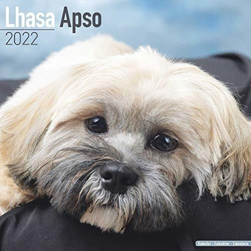 Lhasa Apso Calendar - Dog Breed Calendars - 2021 -..