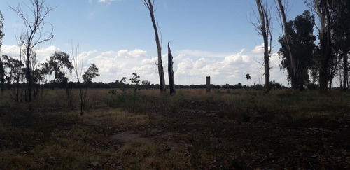 Imagen 3 de 7 de Finca En Blanco En Las Paredes San Rafael Menoza