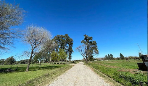 Venta De Lote Lujan. 