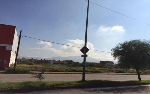 Terreno En Renta León, Gto. Hilario Medina