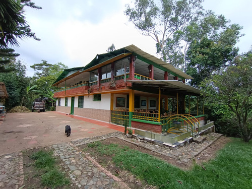 Se Vende Finca En La Tebaida - El Alambrado