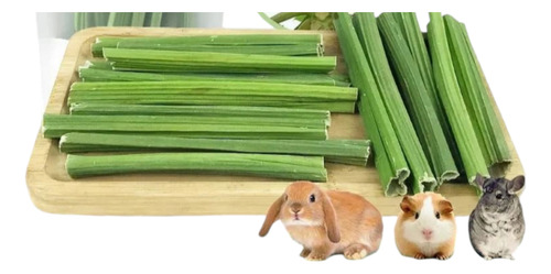 Mordedores De Papaya Para Hamster, Conejos, Roedores Cuy