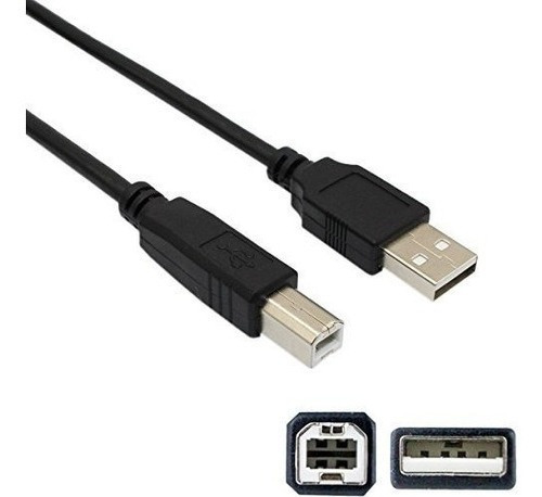 Lunling 10 Pies Usb A Macho A B Cable De Cable Macho Cable D