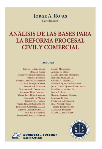 Análisis Bases  Reforma Procesal Civil Y Comercial Rojas