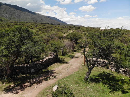 Venta De Lotes En Carpintería El Sendero