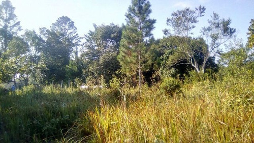 Chácara No Gaivota, Itanhaém Lado Serra À 9km Da Rodovia